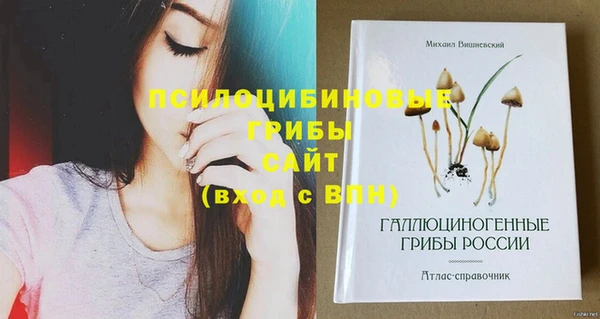 амфетамин Богданович