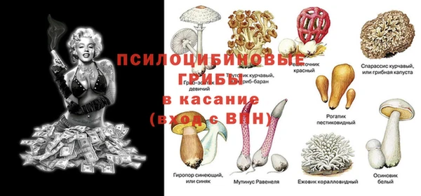 амфетамин Богданович